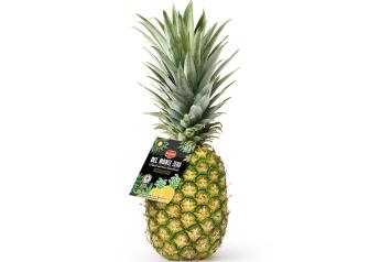 Zero emission fruit? Fresh Del Monte says yes, launching first carbon neutral pineapple