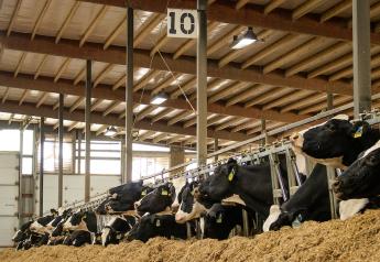 Rising Interest Rates to Cap Dairy Farm Expansion