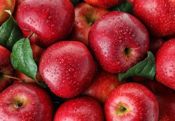 Flamm Orchard Sales installs new apple packing system