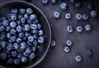 Blueberries top poll for growth potential