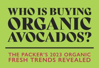 Organic avocado retail sales are up 13%