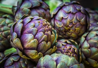 Artichoke consumers make it a priority to shop exclusively organic