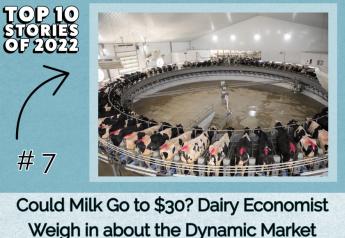 Top 10 Stories of 2022: Could Milk Go to $30, Dairy Economist Weigh in about the Dynamic Market