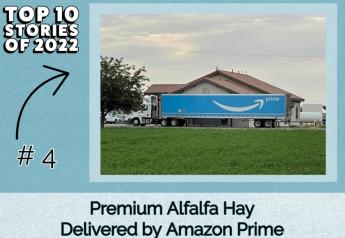 Top 10 Stories of 2022: Premium Alfalfa Hay Delivered by Amazon Prime