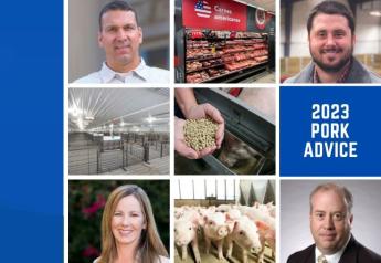 Start 2023 Off Right: Analysts Offer Pig Farmers Timely Advice