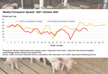 Processors’ Pinched: Paying Up For Live Hogs, Wholesale Prices Decline