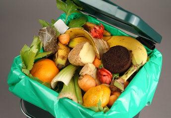 How fruit and vegetable companies are doing their part to reduce food waste