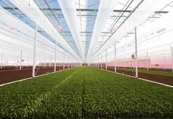 Revol Greens adds artificial intelligence technology to lettuce greenhouses