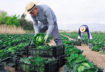 USDA report cites rising farm labor costs but also rising productivity