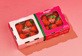 Vertical grower Bowery Farming launches first nongreen product: Strawberries