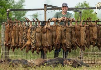 Meet Mississippi’s Yawt Yawt, a Wild Pig’s Nightmare and Hunting Legend in the Making