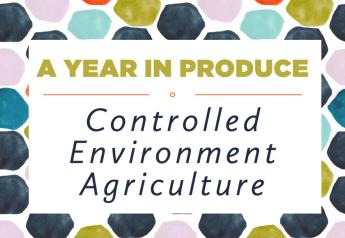 2022 Year in Produce: Controlled Environment Agriculture, or CEA