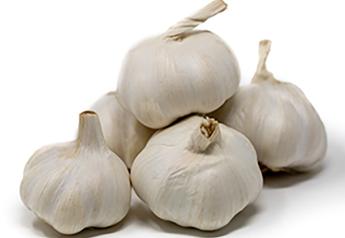 Another win for Argentina: New garlic crop ‘clean with good size’