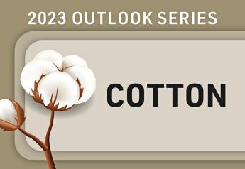 Cotton Tug-of-War: Production and Prices Battle It Out for 2023