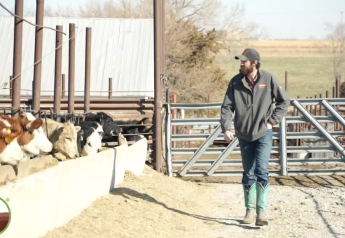 Proprietary Feeding System Improves Feed Efficiency and Carcass Yield
