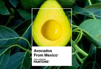 ‘Avocados From Mexico’ dubbed an official color by Pantone