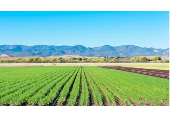 Eurofins Scientific breaks into produce, opening labs in Salinas Valley