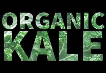Organic Fresh Trends 2023: 22% of shoppers buy for organic kale