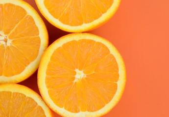 Industry applauds USDA citrus purchase 
