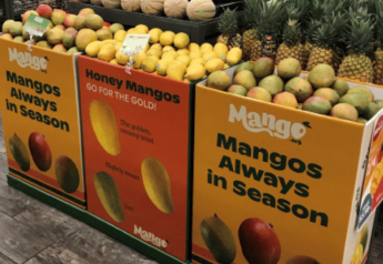 National Mango Board offers limited number of display bins