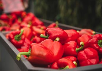 Pure Flavor acquires 25-acre greenhouse bell pepper farm