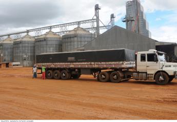 Brazil is Short on Bin Space As Grain Output Outpaces Storage Capacity