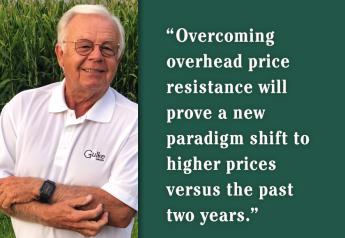 Jerry Gulke: Soybean History Lesson Provides Clues to Future Price Direction