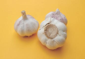 Have a 'light bulb moment' with garlic