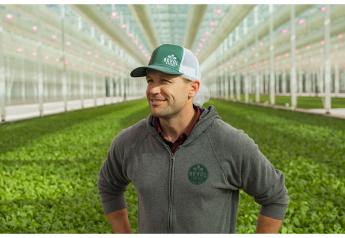 Growing under glass: Talking indoor ag with Revol Greens' Tom Thompson