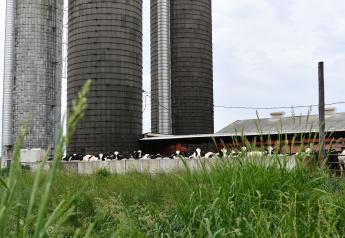 New Efficiencies Bring Sustainability Benefits to Clearview Dairy 