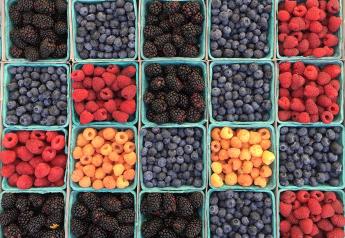 Berries' versatility and ‘superfruit’ status fuel decade of strong growth