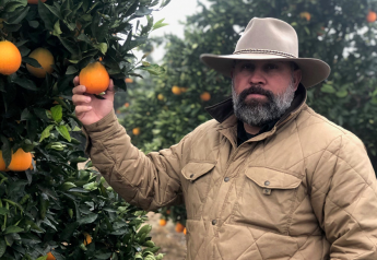 Access Organics adds citrus program