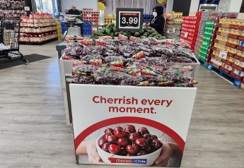 Chilean cherry promotional opportunities plentiful for retailers