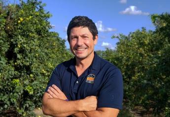 IMG Citrus expands team to boost year-round citrus strategy