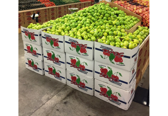 Surprisingly short Washington apple crop bolstered by club varieties