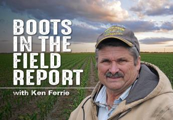 Ferrie: It's Only February, but Iowa Farmers are Considering Field Work and Anhydrous Applications