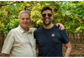 An expert Chilean grape grower and global marketer reflect on a fruitful partnership 