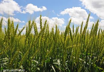 Corteva Introduces New Herbicide For Cereal Crops