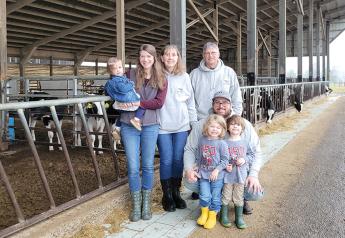 13-Year-Old Registered Holstein Cow Claims New Record for Most Lifetime Milk