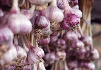Oppy adds Spanish garlic to its zesty product line