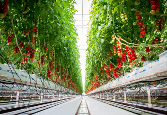 Ontario greenhouse-grown produce poised for growth