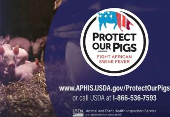 Prevention is the Best Way to Protect the U.S. from African Swine Fever