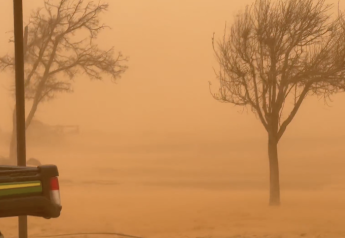 'It Looks Like a War Zone': Texas Farmer Describes Wheat Crop Now Ravaged by Sunday's Derecho and Dust Storm