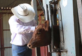 BQA Low Stress Cattle Handling Principles