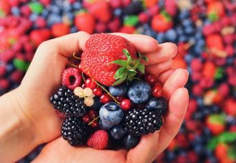 Berry imports, organic strawberries show rapid growth