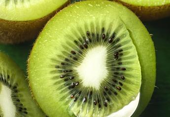 Zespri looks for strong growth in kiwifruit supply
