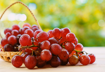 U.S. imports of Peruvian grapes assume greater importance in November and December