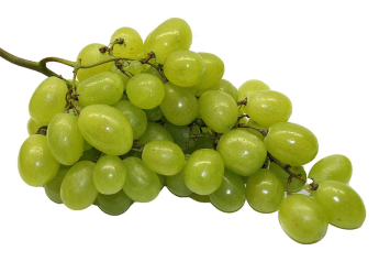 California dominates the U.S. fall grape supply