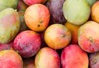 Here's how much U.S. imports and consumption of mangoes has changed over time