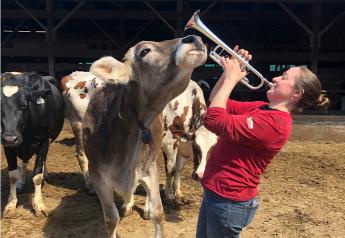 For the Love of Cows and Music